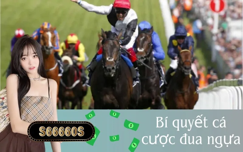 Bí quyết cá cược đua ngựa